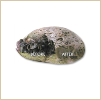 product3